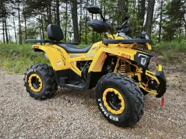 Квадроцикл MotoLand Wild Track 200 X WINCH