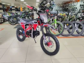 Питбайк Racer Z1 Pitbike