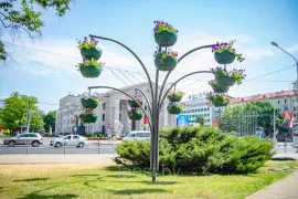 Цветочница "В виде дерева" 2300х3710 мм