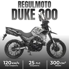 Мотоцикл Regulmoto DUKE 300