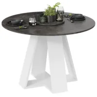 Кухонный стол Трия Райнер Тип 1 (белый/ателье темный)