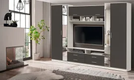 Гостиная Вена 91.01 с зеркалом (3,0м.)