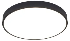 Светильник Arte Lamp A2673PL-1BK