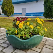 Цветочница " Чаша Б " 600х250мм