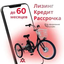 Трёхколёсный электровелосипед Smart8 Farmer