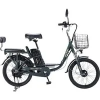 Электровелосипед MyWay Truck 1.0 500 24 (15, темно-зеленый)
