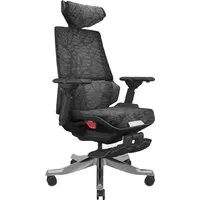 Игровое (геймерское) кресло ErgoSmart Bloodragon (черный/серебристый)