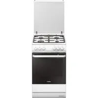 Кухонная плита Hansa FCMW58077