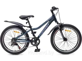 Двухколесный велосипед FAVORIT, модель VISTA-22VA, VST22V11GR-AL