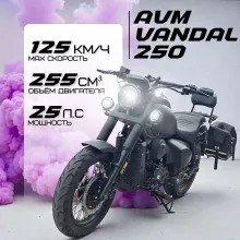 Мотоцикл AVM VANDAL 250