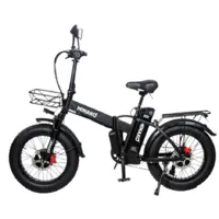 Электровелосипед Minako F10 Dual (черный)