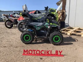 Детский Квадроцикл Avantis ATV Classic mini 4T P