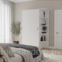 Шкаф-купе Лагуна ШК04-00 1,52м. (дсп/дсп)