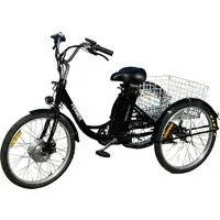 Электровелосипед Smart Balance Fermer 2024 (черный)