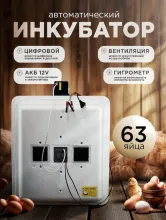 Инкубатор Несушка 63-ЭГА-12В н/н 46Вг