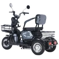 Электроскутер Terax Apki NS003 черный