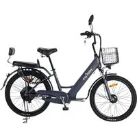 Электровелосипед MyWay Truck 500 24 (графит)