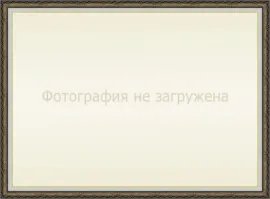 Рамка 5070