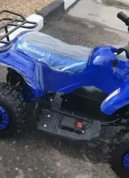 Детский квадроцикл ATV (игрушка) Motoland E008 800Вт (2021 г. ) (к-т з/ч)