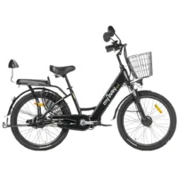 Электровелосипед MyWay Truck 240 Pro 24 (15, черный матовый)