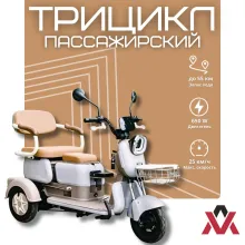 Пассажирский трицикл AVM City 650