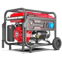Бензиновый генератор SUNREKA G6000