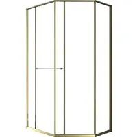 Душевой уголок Radomir Дария PN 120x80 1-10-4-1-0-353 (левая, матовое золото)