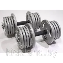 Набор гантелей металлических Хаммертон Atlas Sport 2x16,5 кг