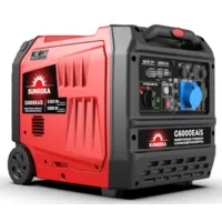 Инверторный генератор SUNREKA G6000EAiS