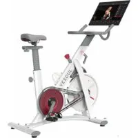 Велотренажер Yesoul BS3-B Pro Plus BS3-W-21.5