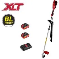 Триммер Wortex TB 3036-1 ALL1 XLT Set 1334872 (с 2-мя АКБ)