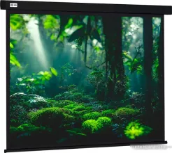 Проекционный экран CACTUS Wallscreen 213x213 CS-PSW-213X213-BK