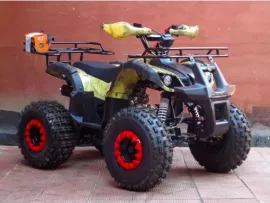 Квадроцикл ATV Motoland Fox 125 без ПТС (к-т з/ч)