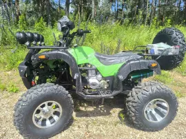 Квадроцикл Storm Select 250CC с ПСМ