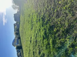 Продам участок в деревне Марьяливо