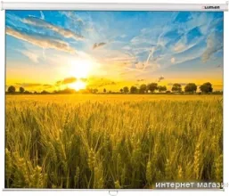 Проекционный экран Lumien Eco Picture 164x240 LEP-100118