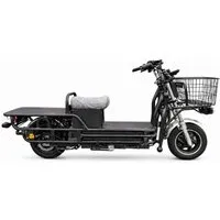 Электроскутер Terax Cargo ZG