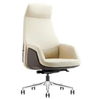 Кресло офисное Hawasan Premium EX-850 Dragon / 533240 (серый/графит)