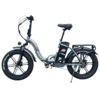 Электровелосипед Smart Balance Panda 2.0 2025 (серый)