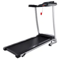 Электрическая беговая дорожка DFC Blues T-113G