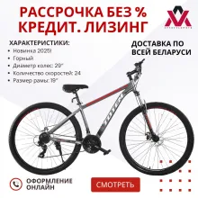 Велосипед TOTEM W860-29MDA